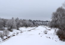 До -6°С похолодает в Рязанской области в воскресенье