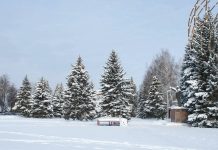 До -19°С похолодает в Рязанской области в ночь на субботу