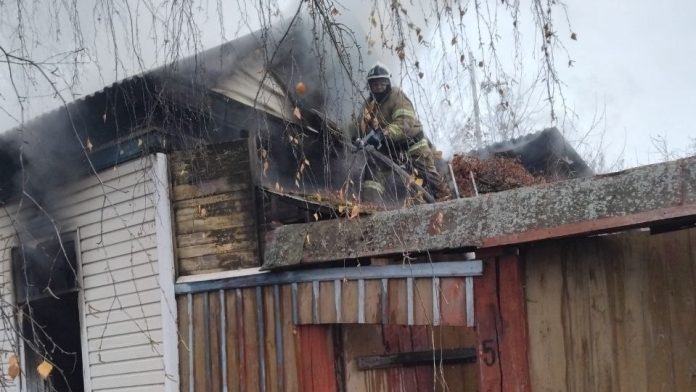 photo_2024-11-15_11-48-53