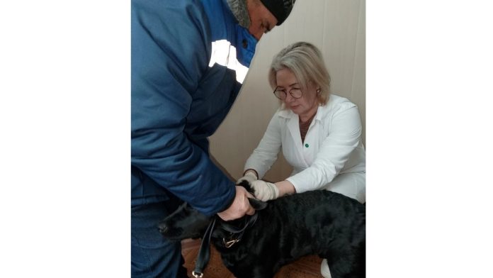 Чипирование. пителино.8.04.26