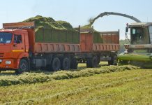 Пителинцы убрали люцерну первым укосом