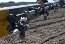 Вниманию пчеловодов! В Пителинском округе будет ероводиться обработка полей